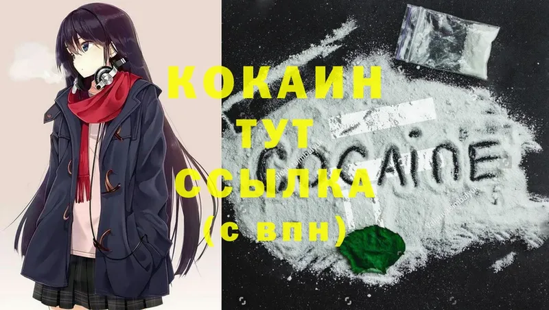 COCAIN FishScale  где продают наркотики  Нерехта 